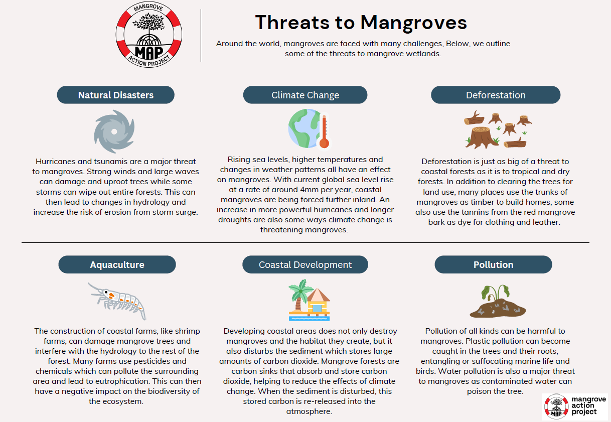 Major _Threats _to _Mangroves